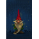 Garden Flag - Midnight Gnome